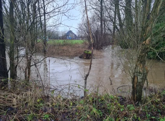 De Bellebeek stond ook eind januari erg hoog De Bellebeek stond ook eind januari erg hoog