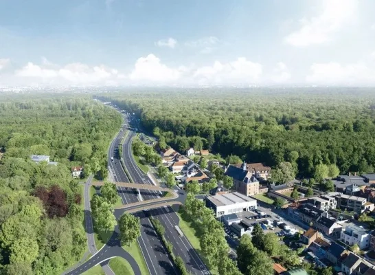 Simulatiebeeld Jezus-Eik Simulatiebeeld Jezus-Eik