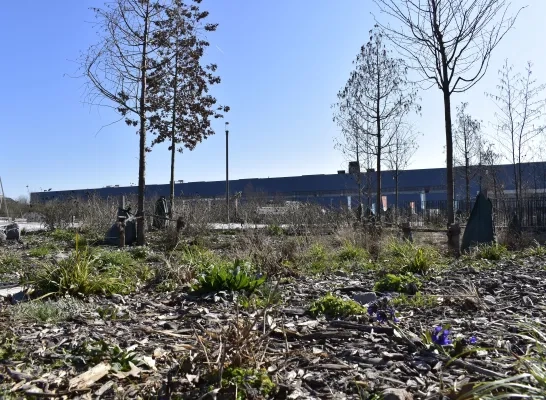 Gloednieuw Broekplein in Vilvoorde officieel geopend: “Dit wordt dé ontmoetingsplaats voor de buurt” 