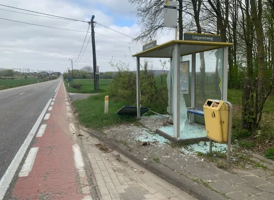 Gevandaliseerd bushok