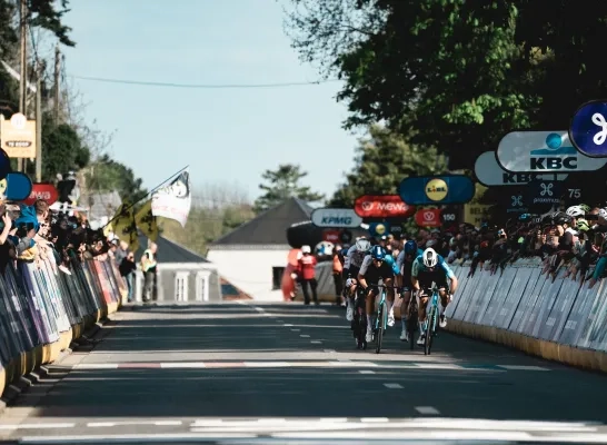 Flanders Classics