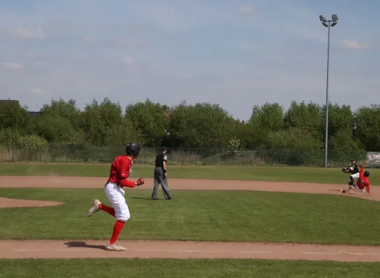Heren van baseballclub The Merchtems Cats aan de leiding in de hoogste klasse