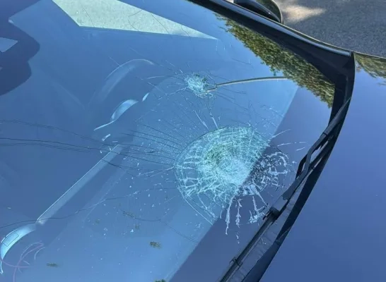 Chauffeur krijgt steen in voorruit geworpen in Sint-Pieters-Leeuw: “Ik ben niet het enige slachtoffer”