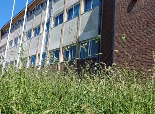 Het parket Halle-Vilvoorde in Asse