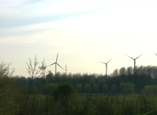 windparlement.jpg