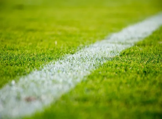 voetbalveld