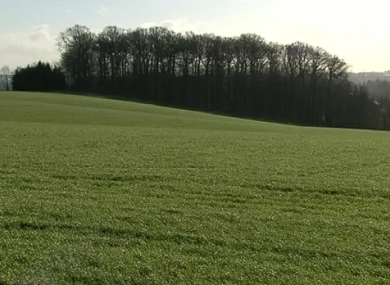 populieren_2.png