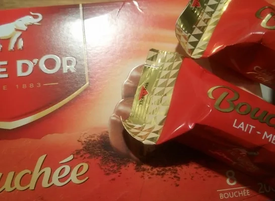 cote_dor_chocolade.jpg
