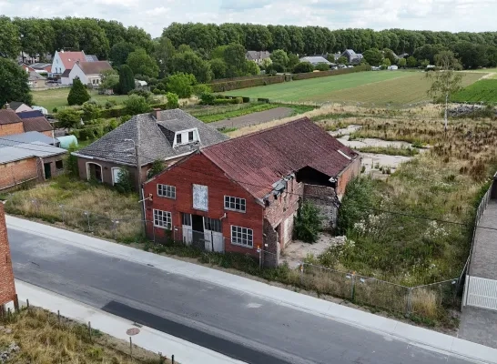 Vitus Kampenhout