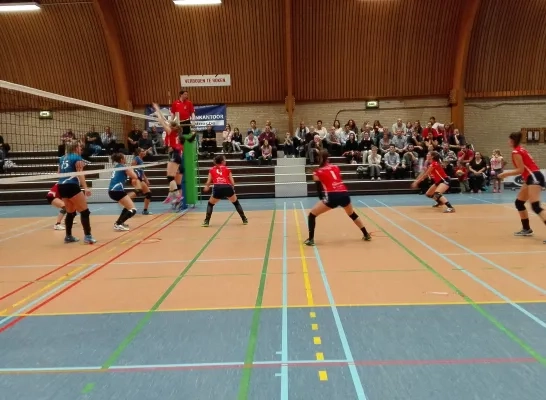 volleylennik.jpg