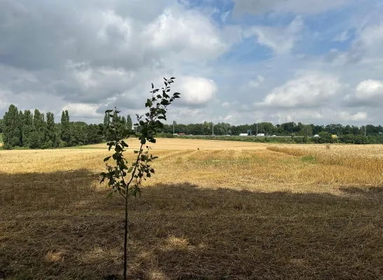 Zaventem verkoopt grond aan Elia voor bouw hoogspanningscabine