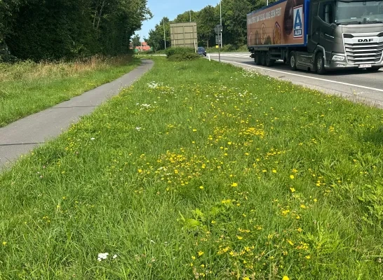 Geen sluikstort meer op Woluwelaan