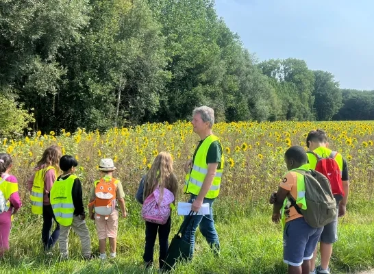 Leerlingen van de Zomerschool in Lennik op stap met Natuurpunt