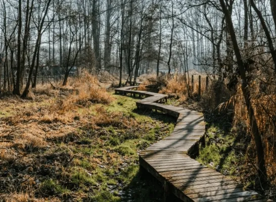 Wellemeersen