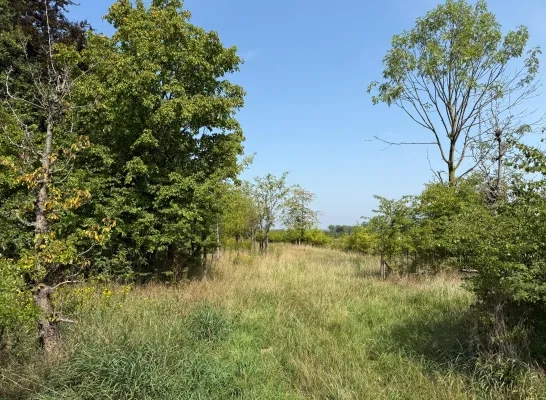 Gemeente weigert vergunning voor zonnepanelenpark Hekelgem