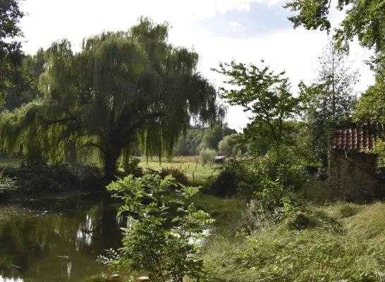 Verwaarloosde weekendvijver in Asse omgevormd tot groene parel
