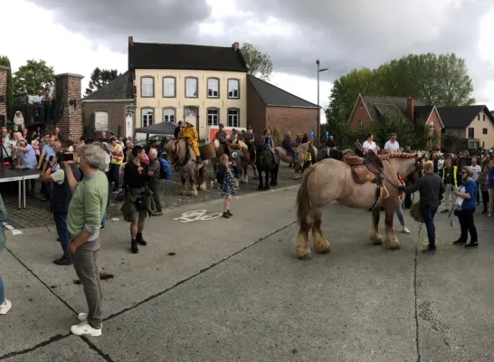 Hilse en trekpaard Elixir sluiten tocht van 1400 km af in Vollezele