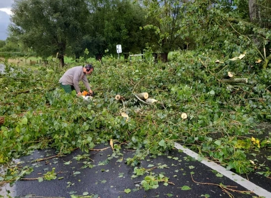 Storm treft Pajottegem en Ternat