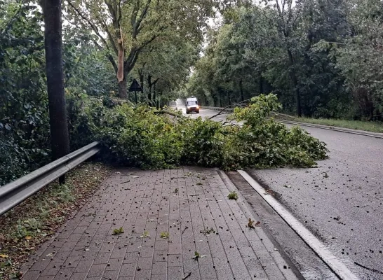 Storm treft Pajottegem en Ternat