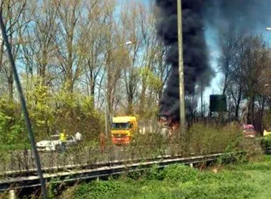 bulldozer_in_brand.jpg