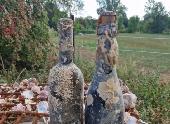 Oude Geuze rijpt een jaar lang op de Adriatische zeebodem