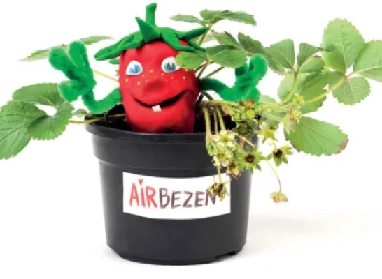 aardbei.png