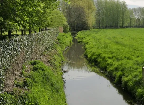 Mazoutlek in Molenbeek in Londerzeel