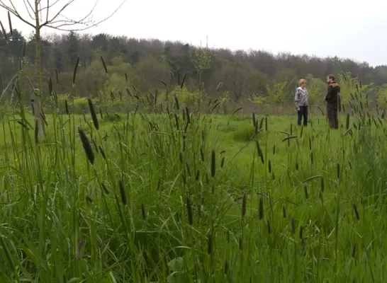 uit_in_de_groene_rand_hallerbos_9.jpg