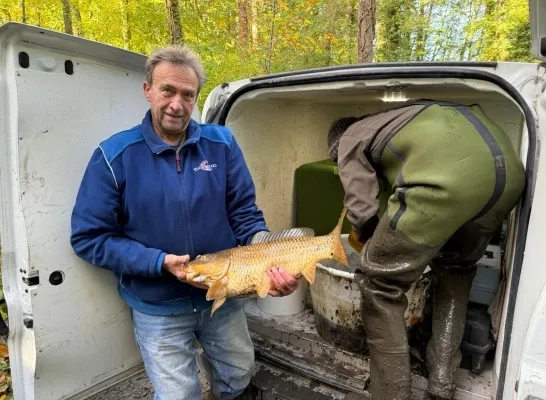 Gevangen vis op de vijver van domein Groenenberg