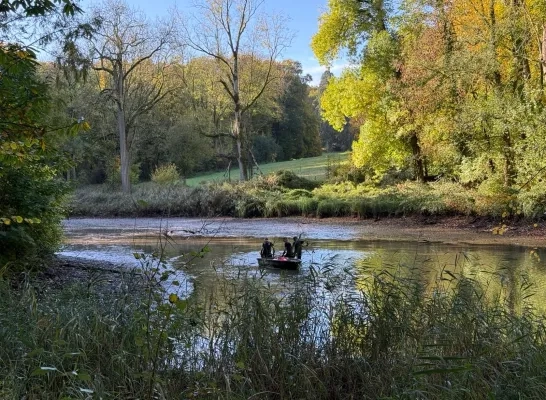 Afvissen vijver Domein Groenenberg