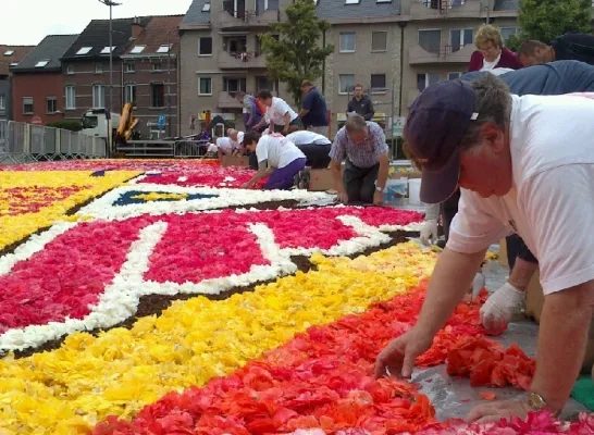 bloementapijt_zaventem.jpg