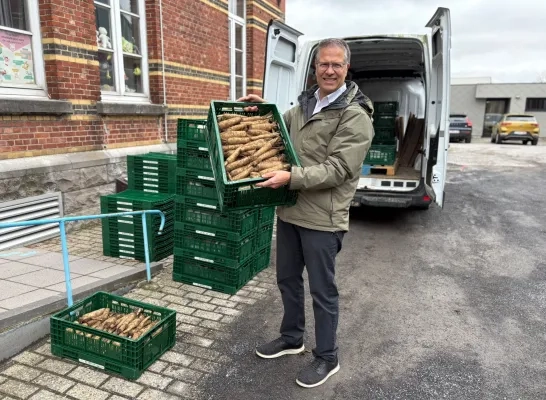 Provincie verdeelt 900 witloofboxen aan scholen