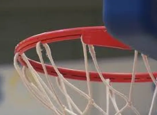 64456_basket.jpg