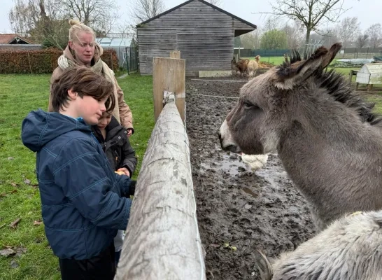 Dieren voederen bij Het Snoezelhof