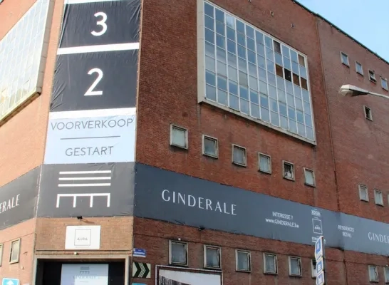 ginder_ale_deel_saerens.jpg