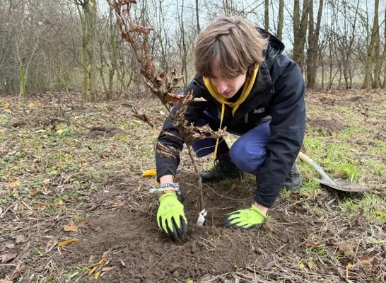 Buurtbewoners werken mee aan nieuwe toegankelijke natuur aan Gulderij in Zemst