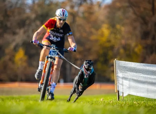Karin en dochter Kirsten uit Opwijk zijn kampioenen in bikejöring
