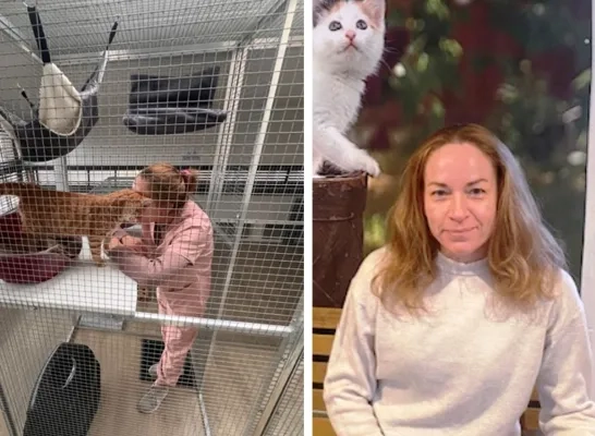 Dierenarts Ellie De Grauwe in haar kattenopvangplek in Opwijk
