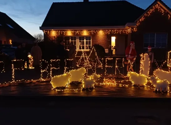 De schapenbaan in Ternat is feestelijk versierd met... lichtgevende schaapjes