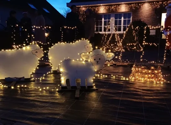 De schapenbaan in Ternat is feestelijk versierd met... lichtgevende schaapjes