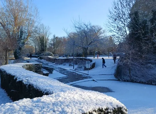 Een sneeuwtapijt in Zaventem