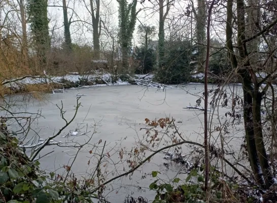 Eén van de vijvers in de Maalbeekvallei