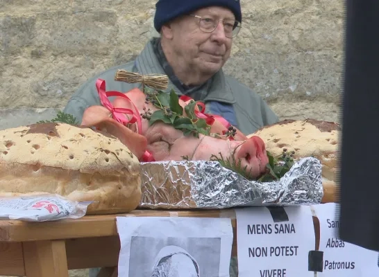 Tijdens SInt-Antonius wordt een varkenskop verloot
