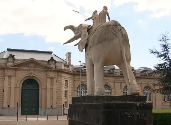 bezoekersaantal Africamuseum