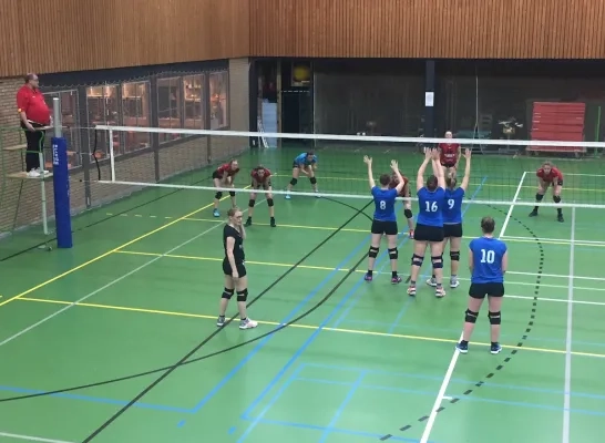 volleydamesschepdaal.jpg