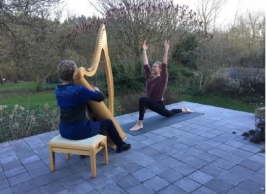 harp_yoga.png