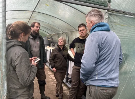 Een Duitse delegatie brengt eiersnoeren van de knoflookpad naar Linkebeek