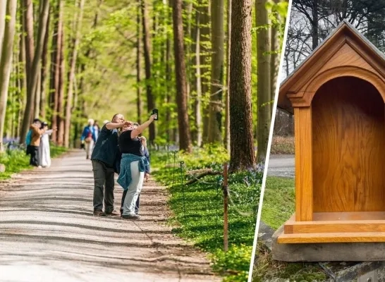 Een lege Sint-Waltrudiskapel in het Hallerbos. 