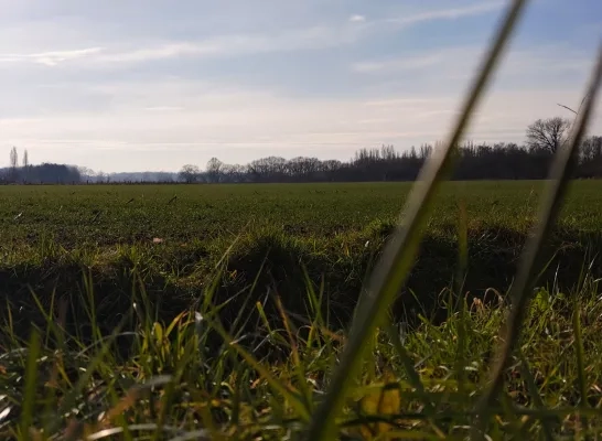 Open ruimte in Meise