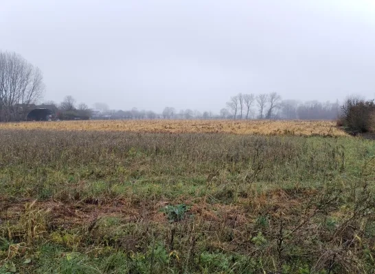 RUP Rubensveld Opwijk 